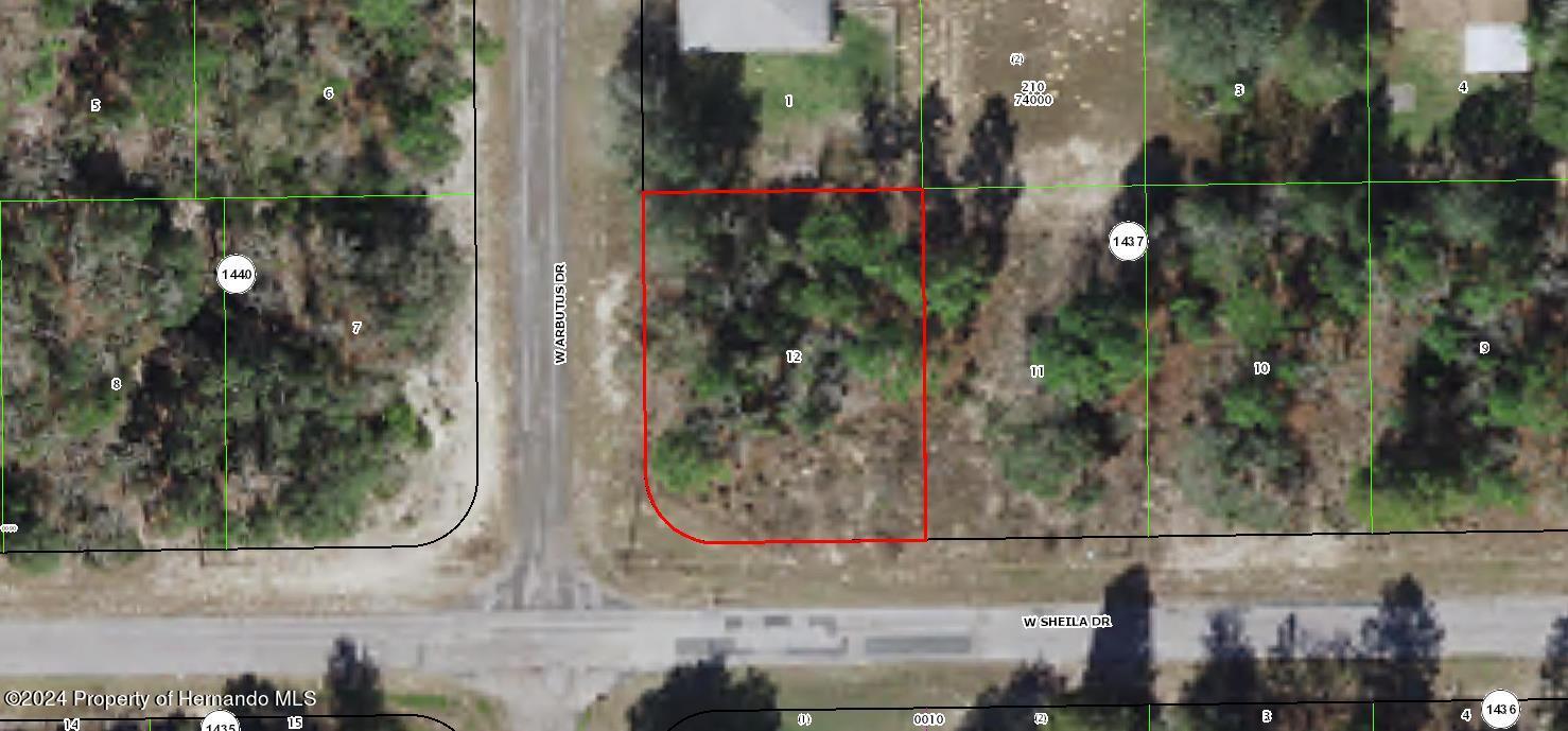 2845 W Sheila Drive, Citrus Springs, Florida image 1