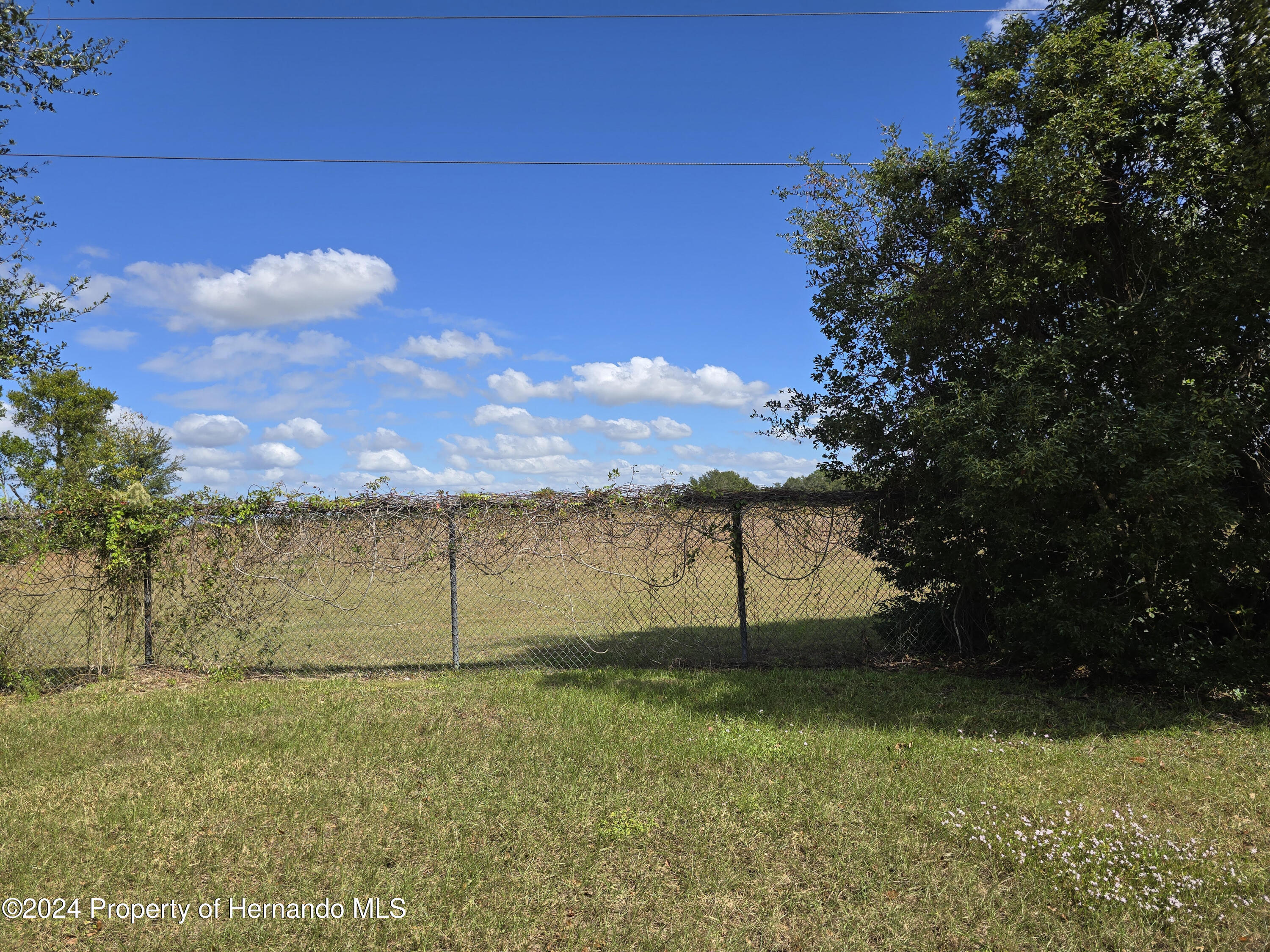 15180 Brookridge Boulevard, Brooksville, Florida image 21