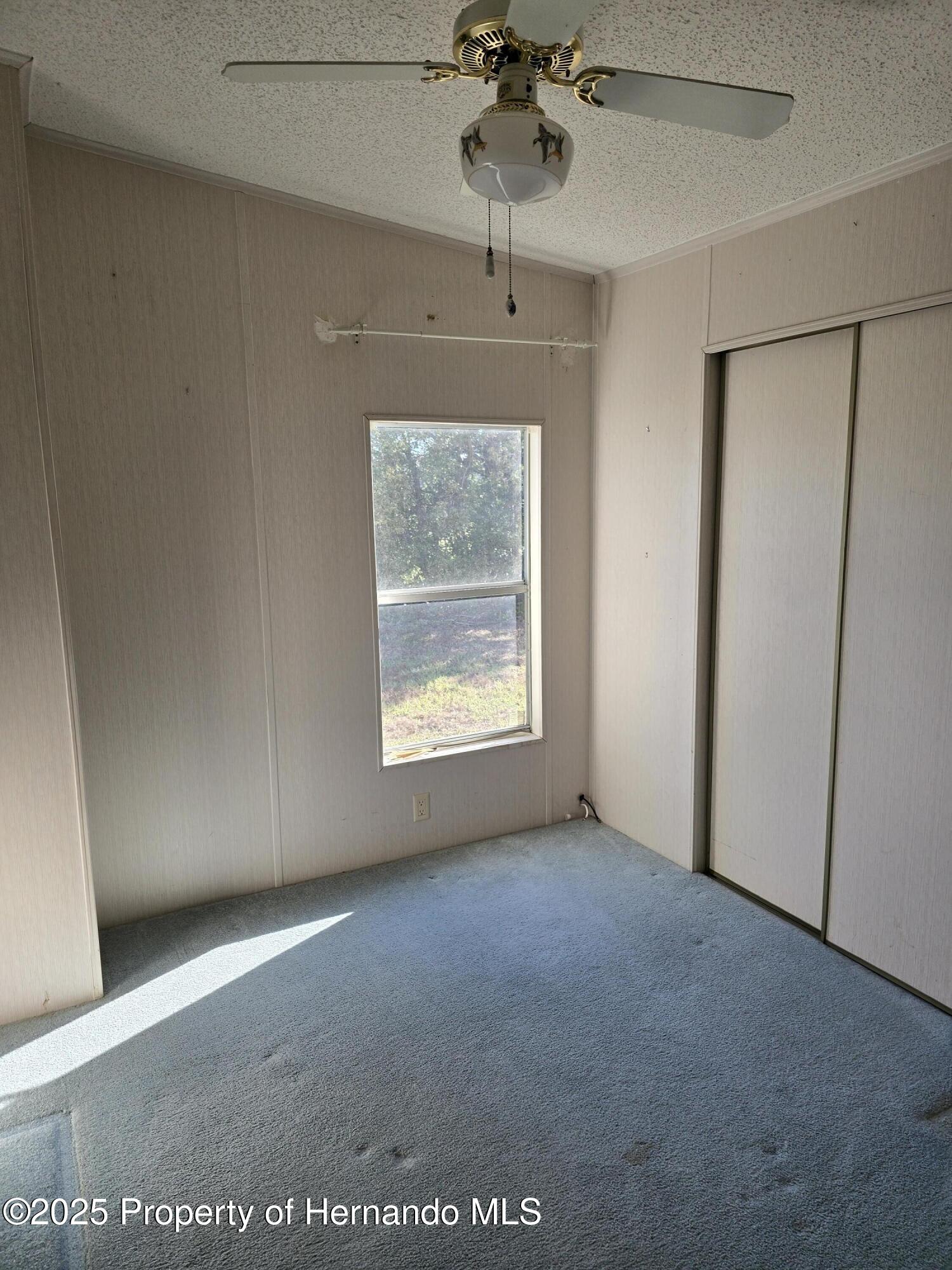 15180 Brookridge Boulevard, Brooksville, Florida image 20