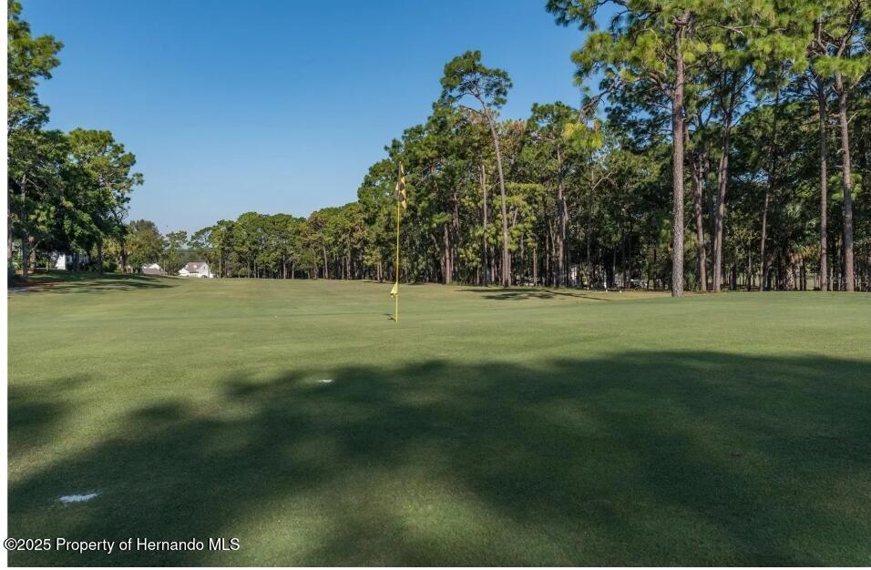 15180 Brookridge Boulevard, Brooksville, Florida image 31
