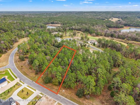 Vacant Land For Sale - 5042 Cedar Ridge Drive<br/> Brooksville, FL 34601