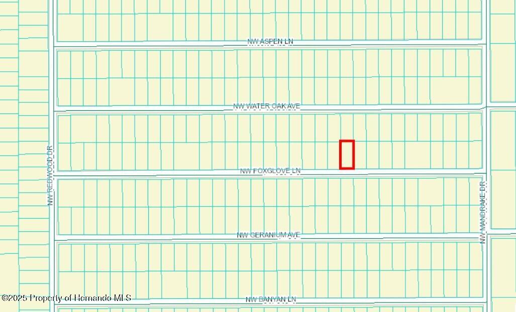 455211 Nw Foxglove Lane, Dunnellon, Florida image 2