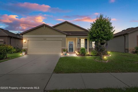 Homes For Sale - 15287 Stone House Drive<br/> Brooksville, FL 34604