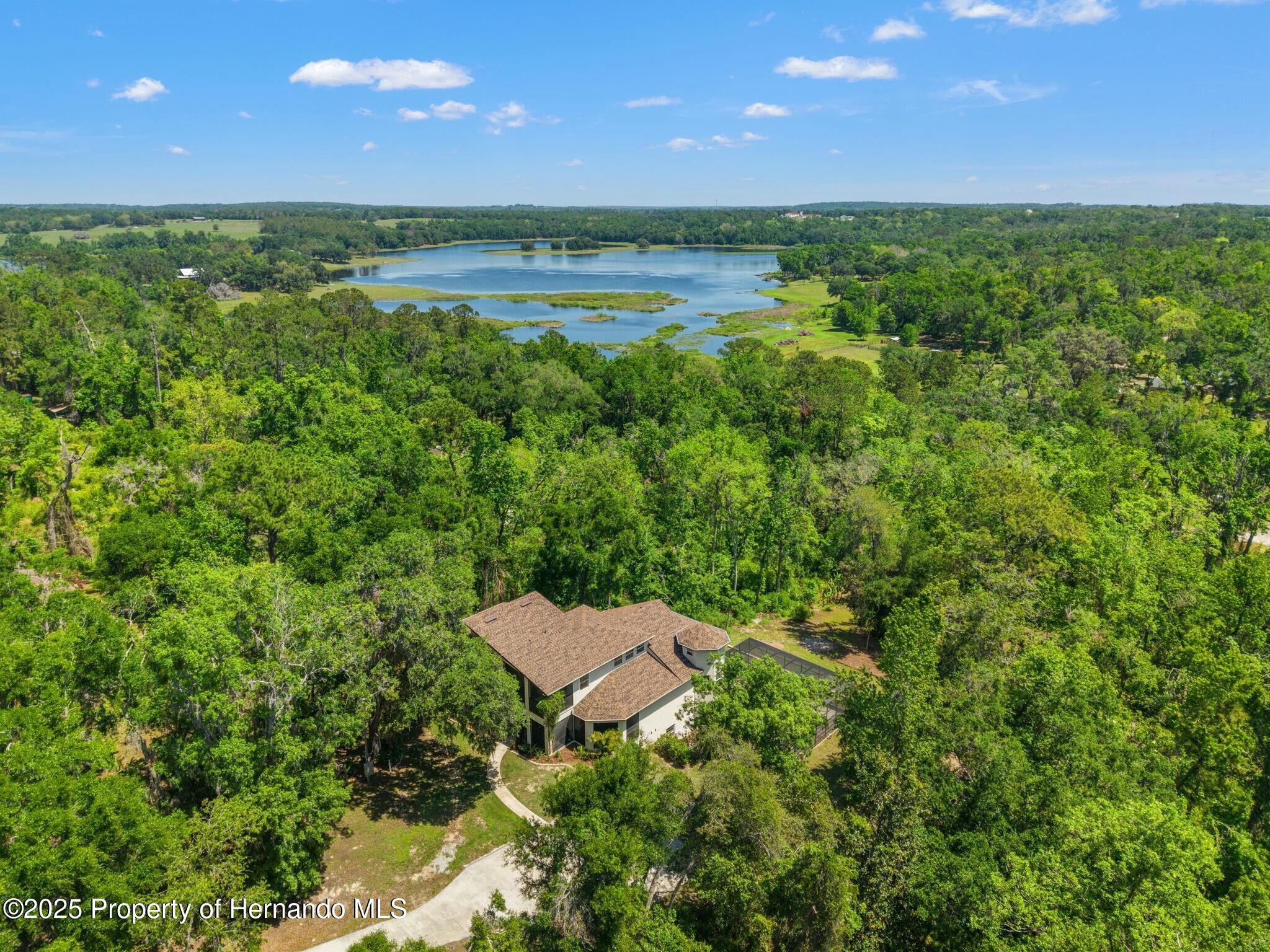 25487 Dan Brown Hill Road, Brooksville, Florida image 2