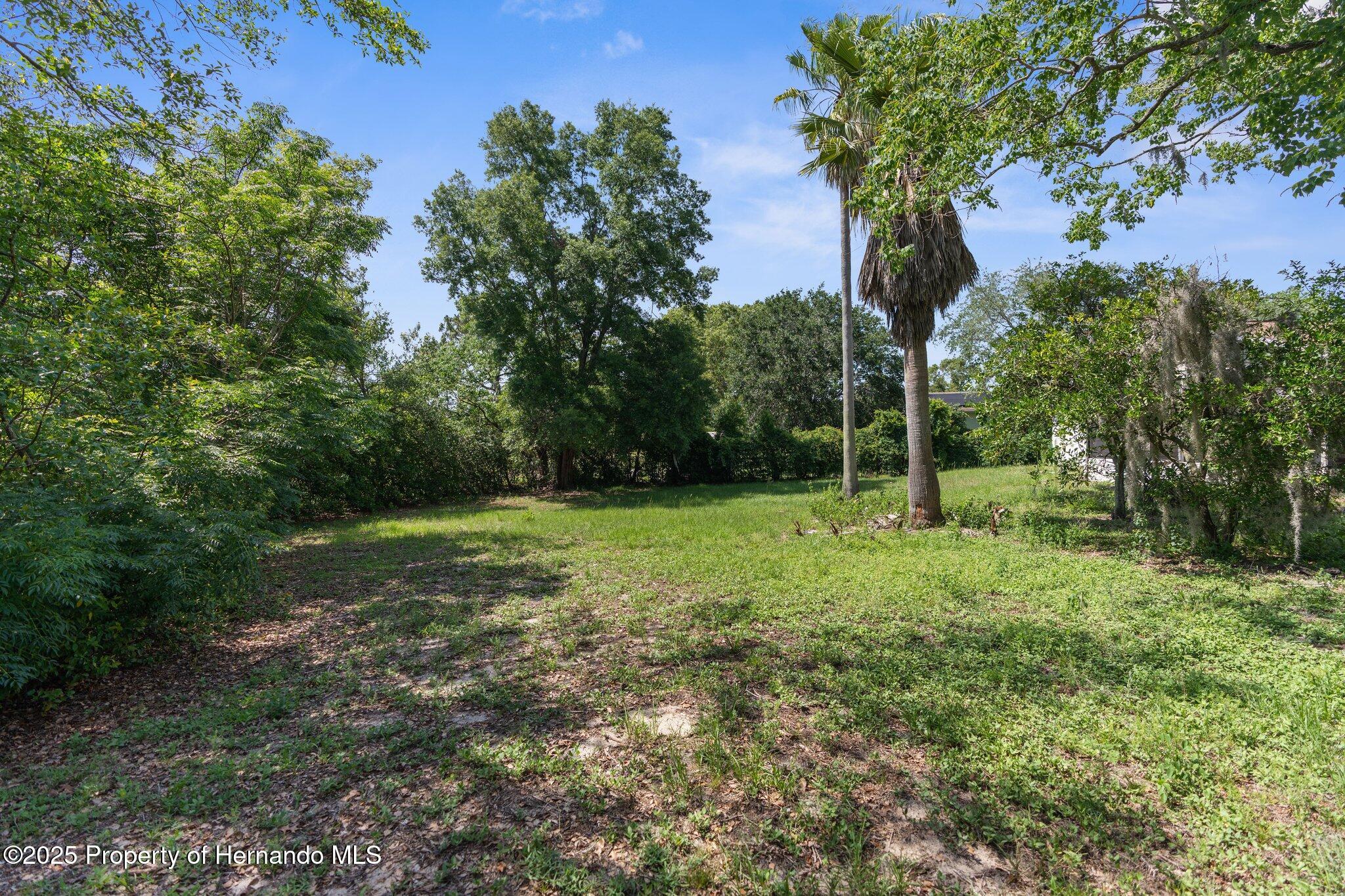 2443 Glenridge Drive, Spring Hill, Florida image 7