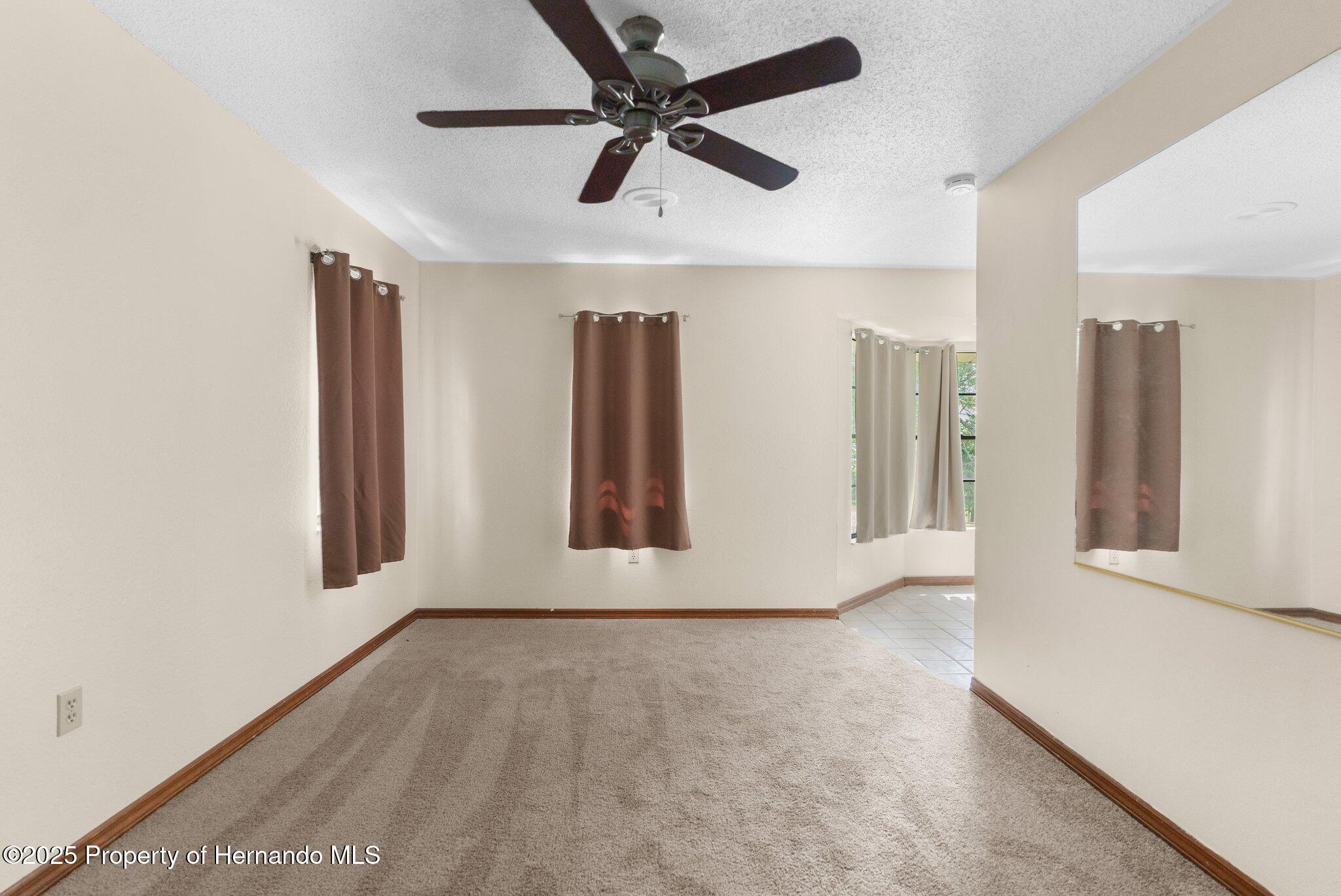 2443 Glenridge Drive, Spring Hill, Florida image 17