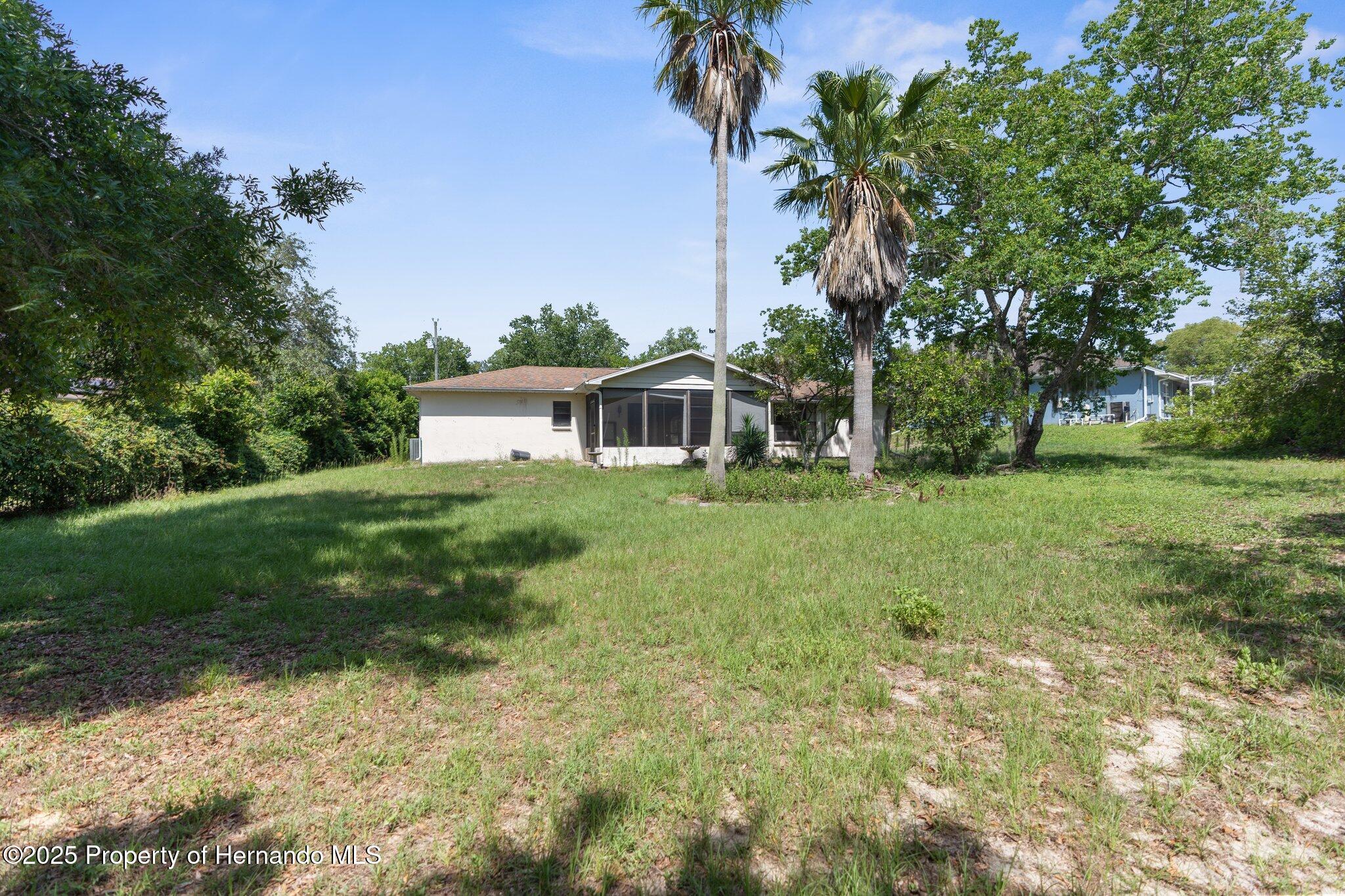 2443 Glenridge Drive, Spring Hill, Florida image 6