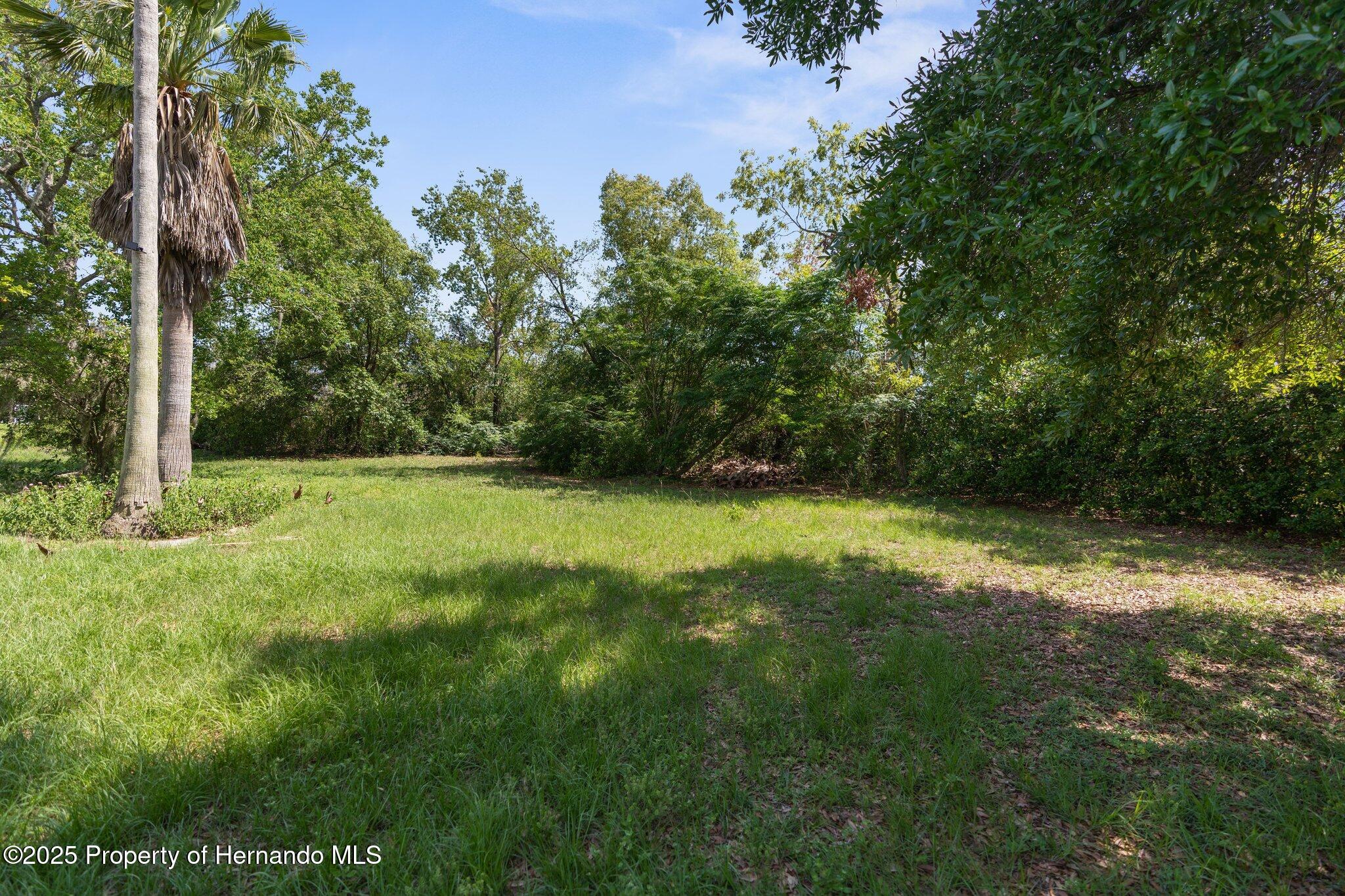 2443 Glenridge Drive, Spring Hill, Florida image 2