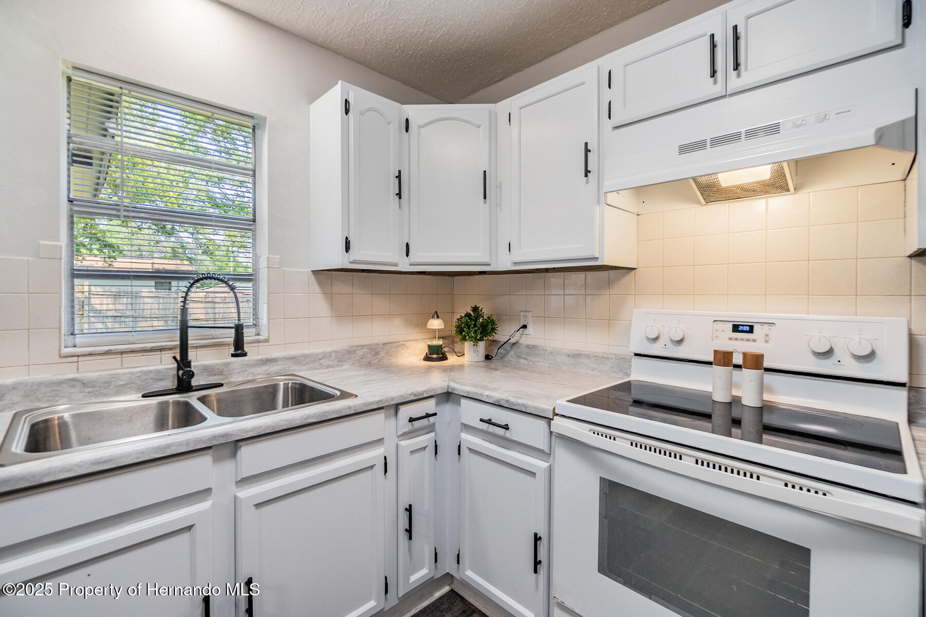27143 Thorncrest Avenue, Brooksville, Florida image 15