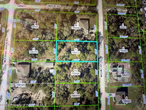 Vacant Land For Sale - Mount Ivy<br/> Weeki Wachee, FL 34614