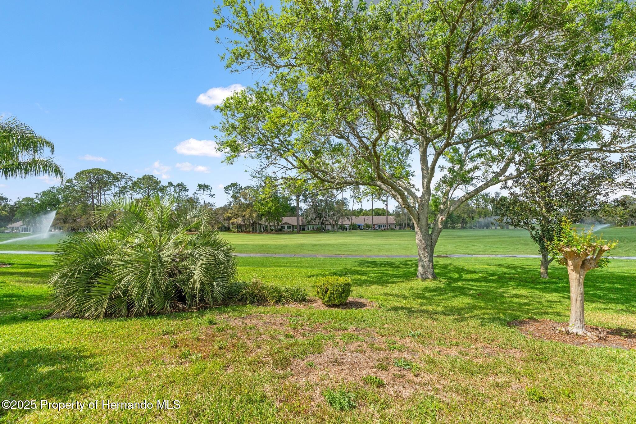 7483 Blue Skies Drive, Spring Hill, Florida image 32