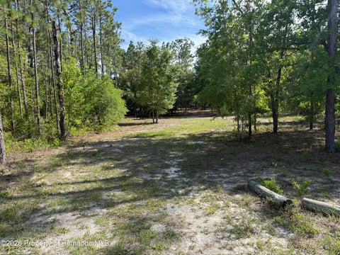 Vacant Land For Sale - LOT 4 Schick Avenue<br/> Weeki Wachee, FL 34614