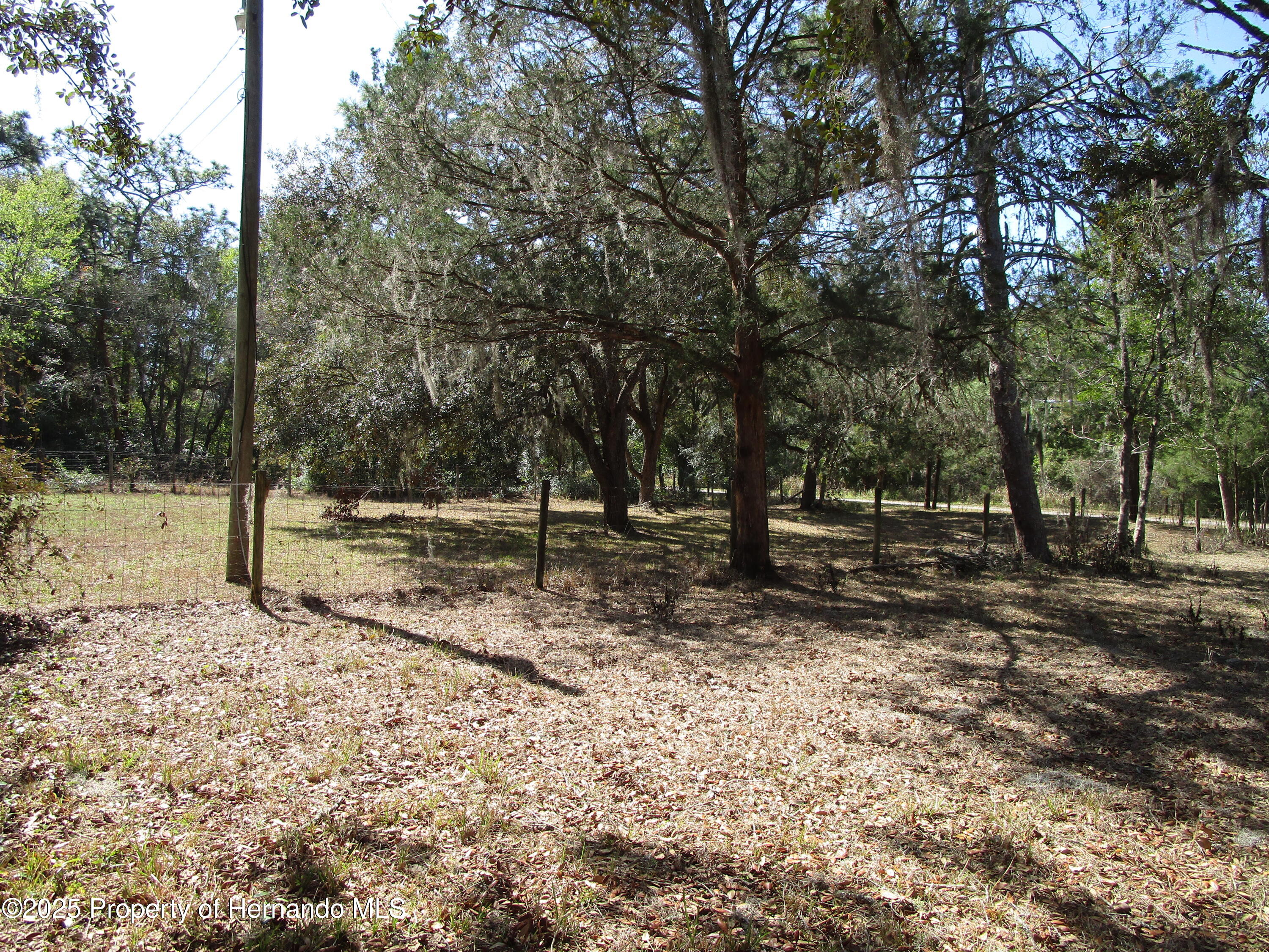 11220 Salina Street, Brooksville, Florida image 30