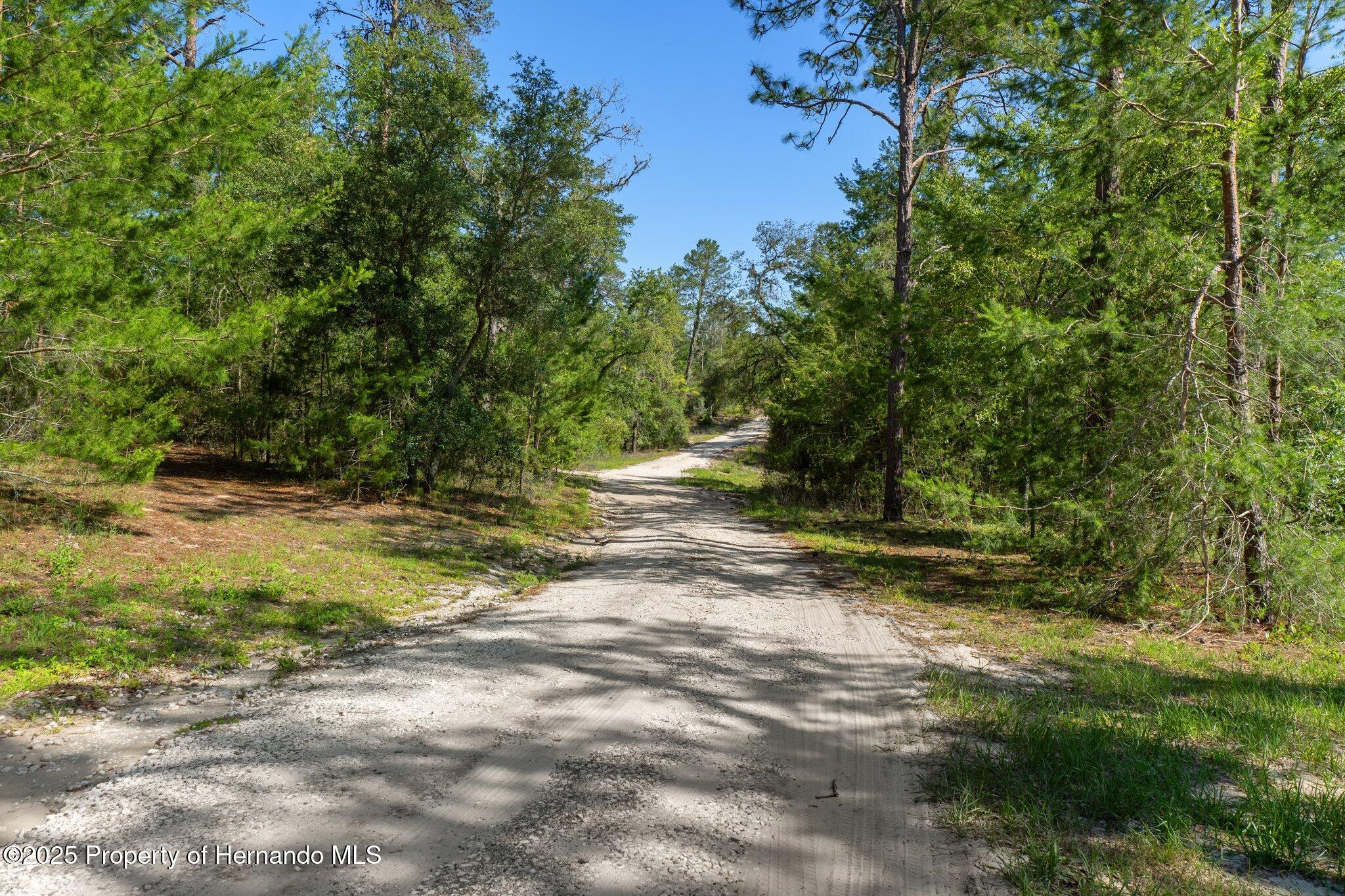 7113 E Shadywoods Court, Floral City, Florida image 38