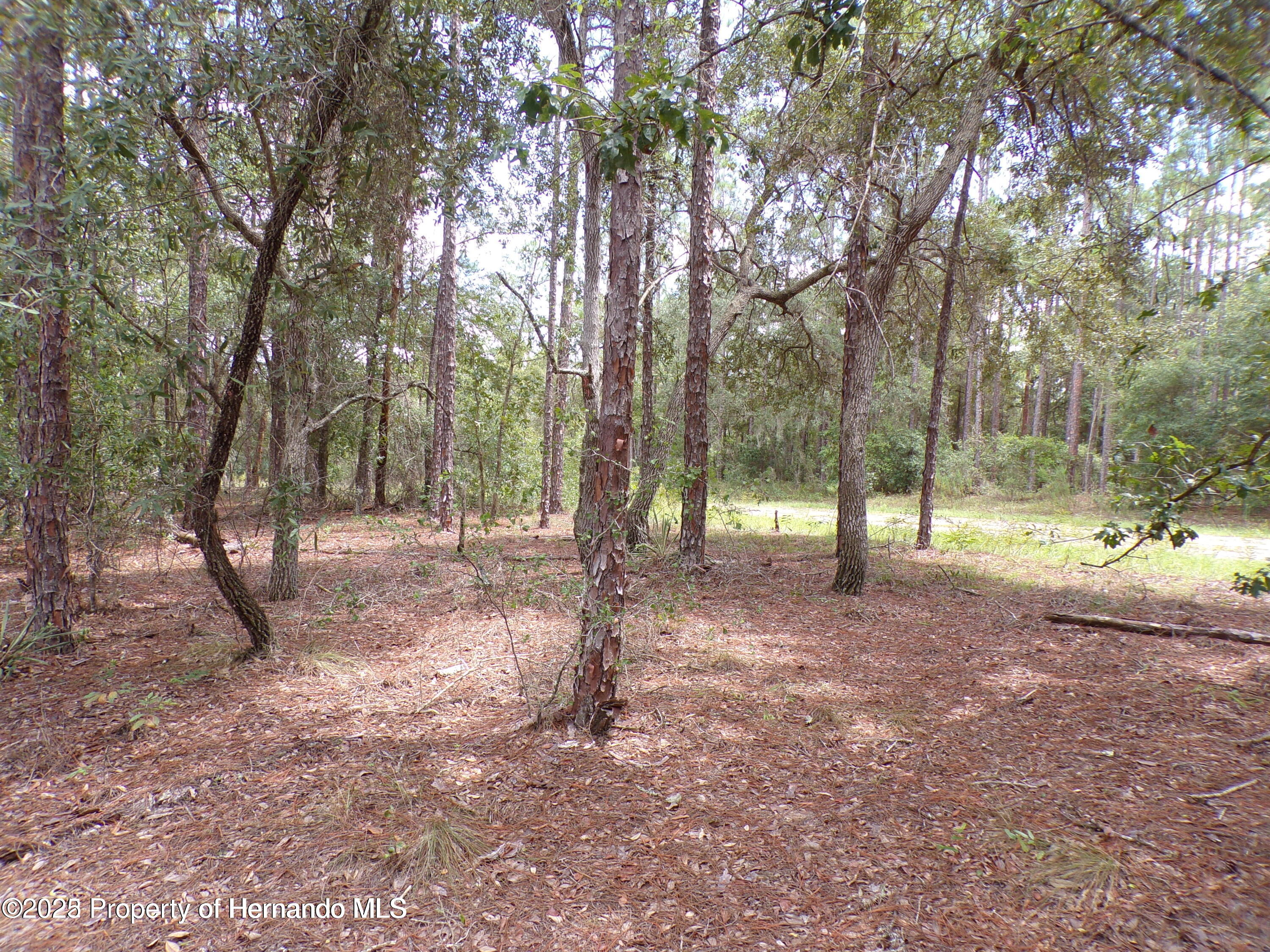 617 E Marquette Lane, Citrus Springs, Florida image 5
