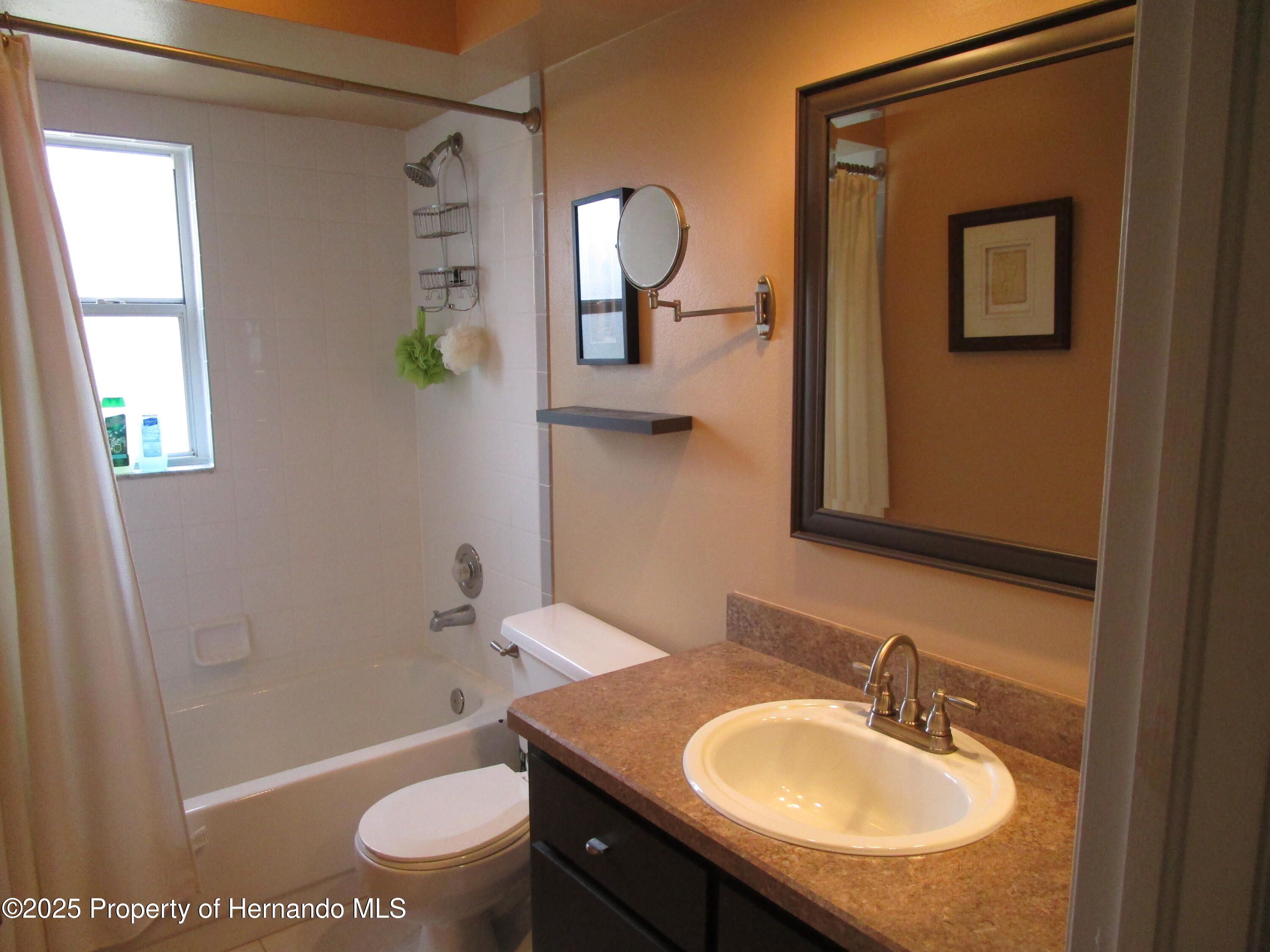 4096 Everett Avenue, Spring Hill, Florida image 24