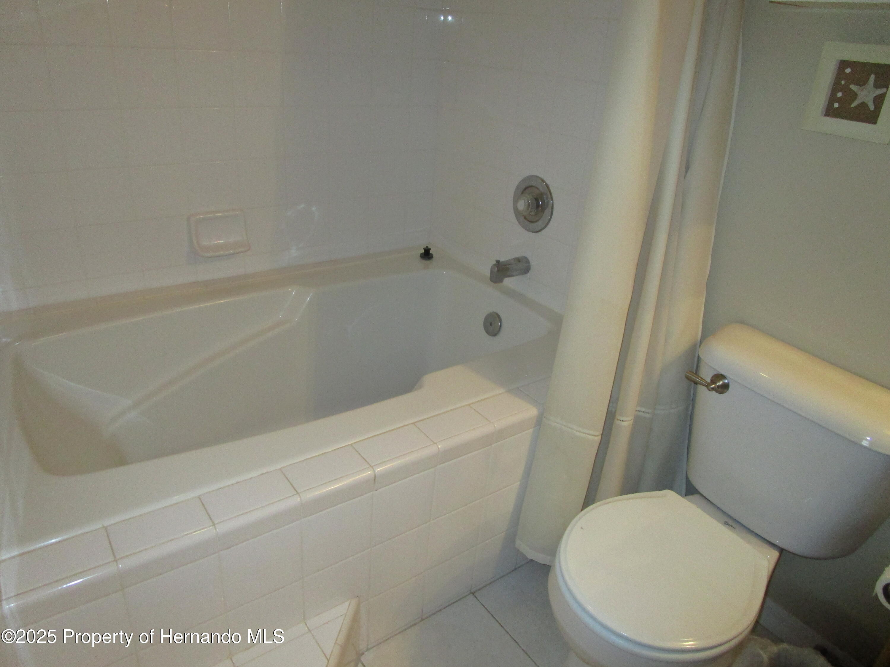 4096 Everett Avenue, Spring Hill, Florida image 18