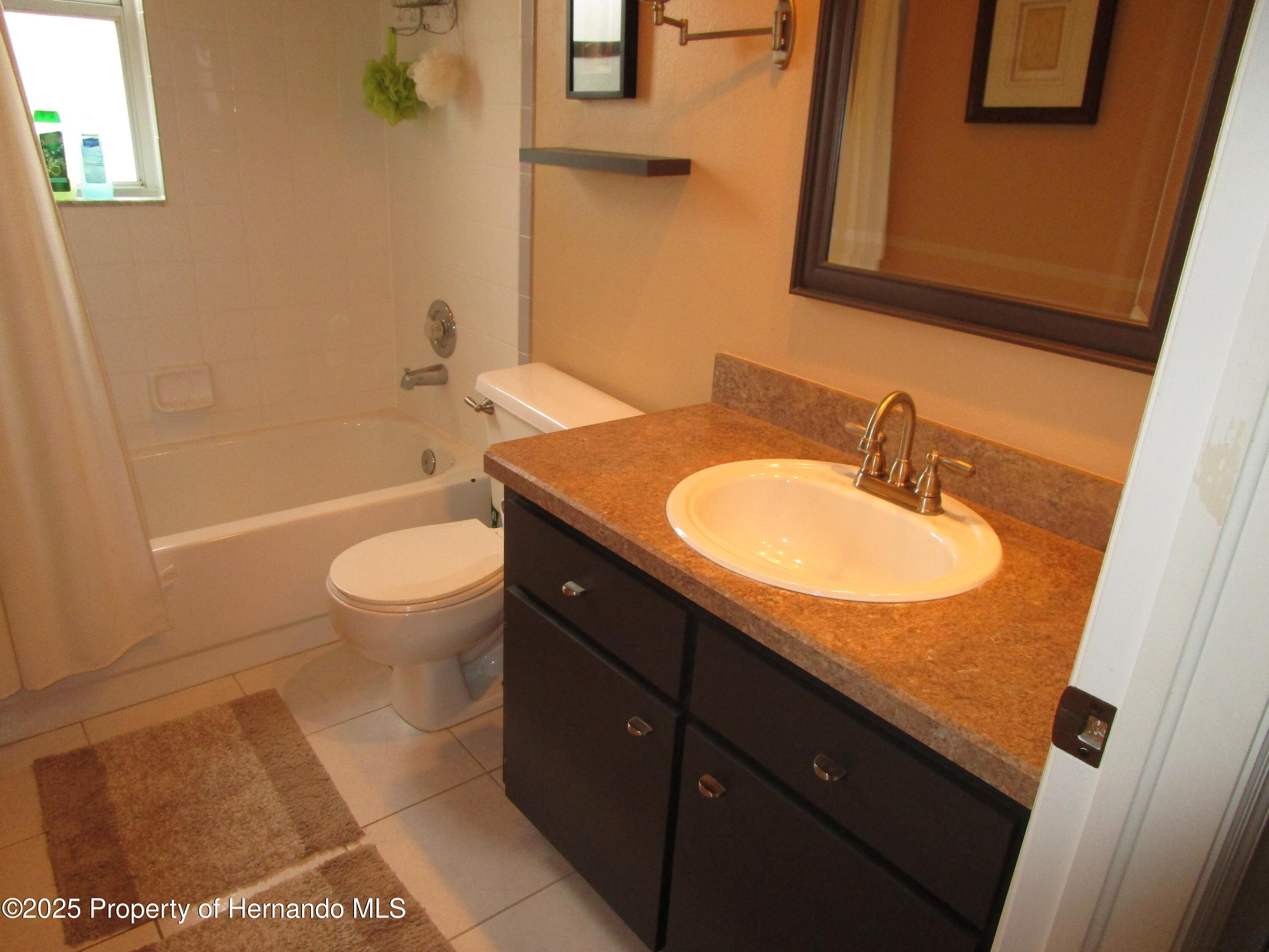 4096 Everett Avenue, Spring Hill, Florida image 25