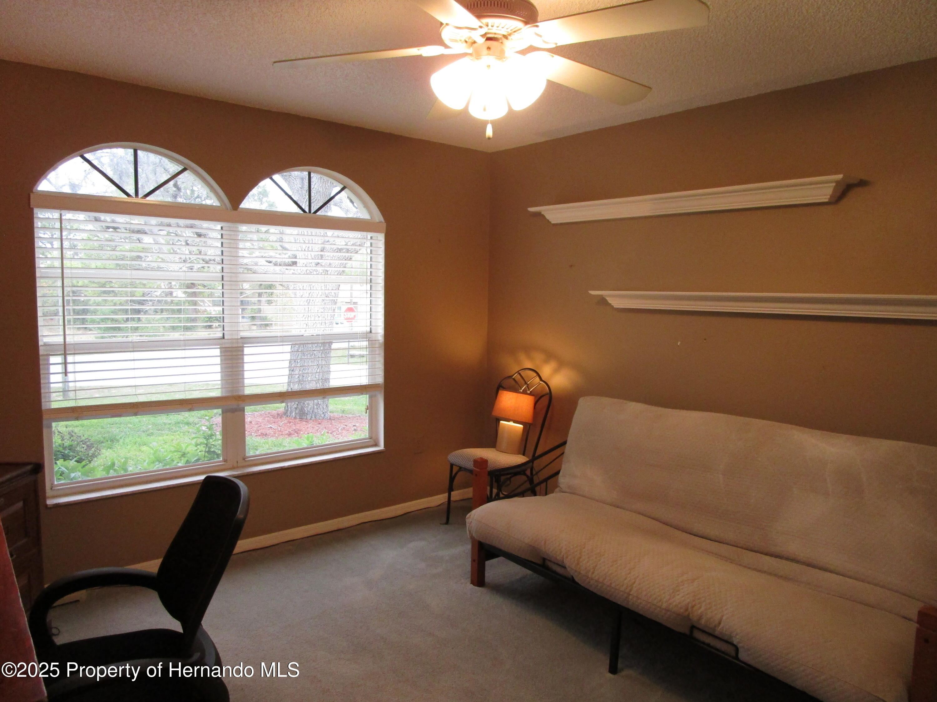 4096 Everett Avenue, Spring Hill, Florida image 20