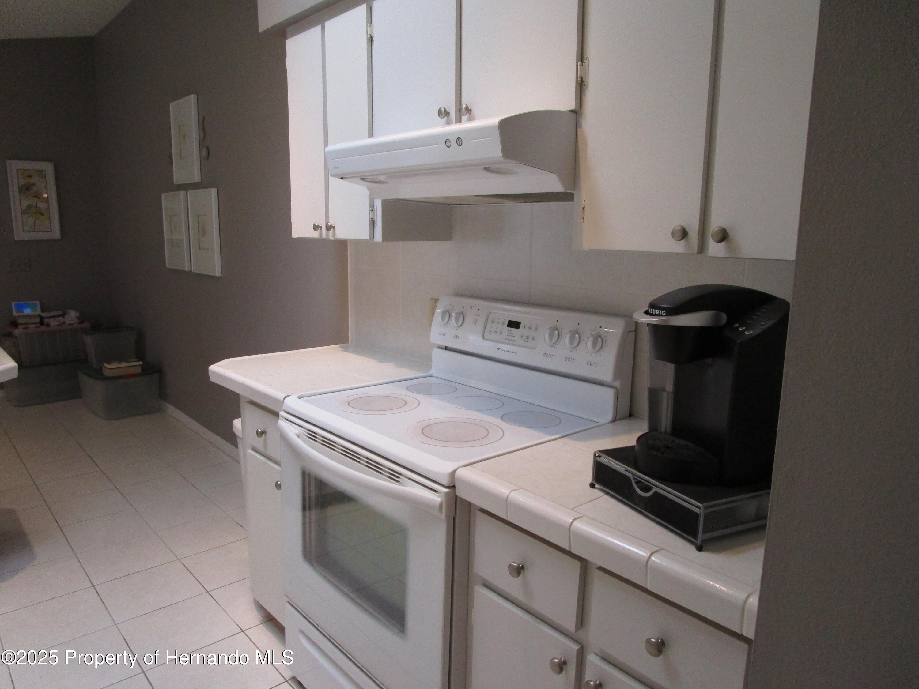 4096 Everett Avenue, Spring Hill, Florida image 3