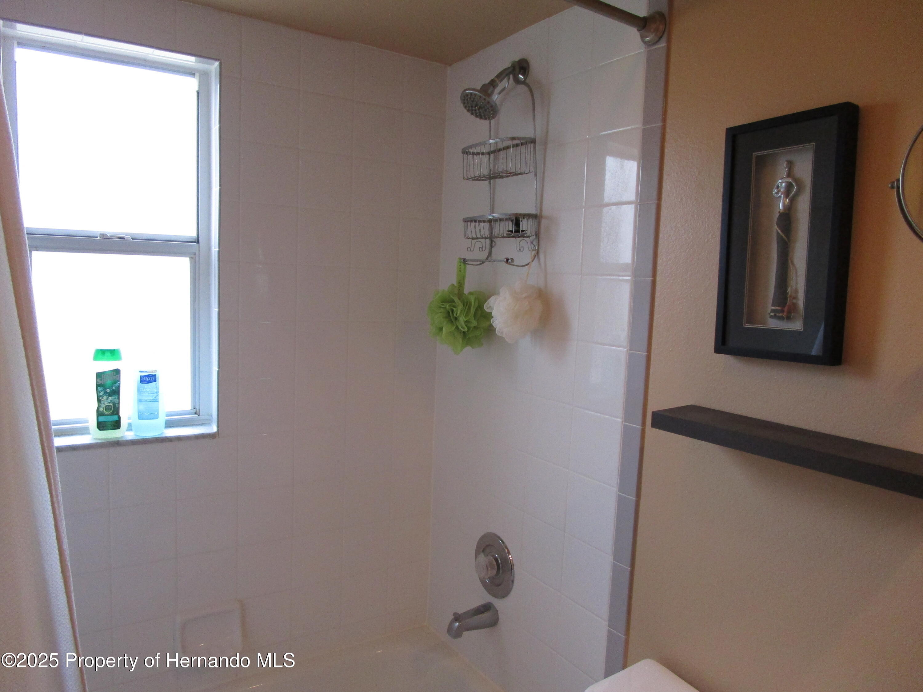 4096 Everett Avenue, Spring Hill, Florida image 23