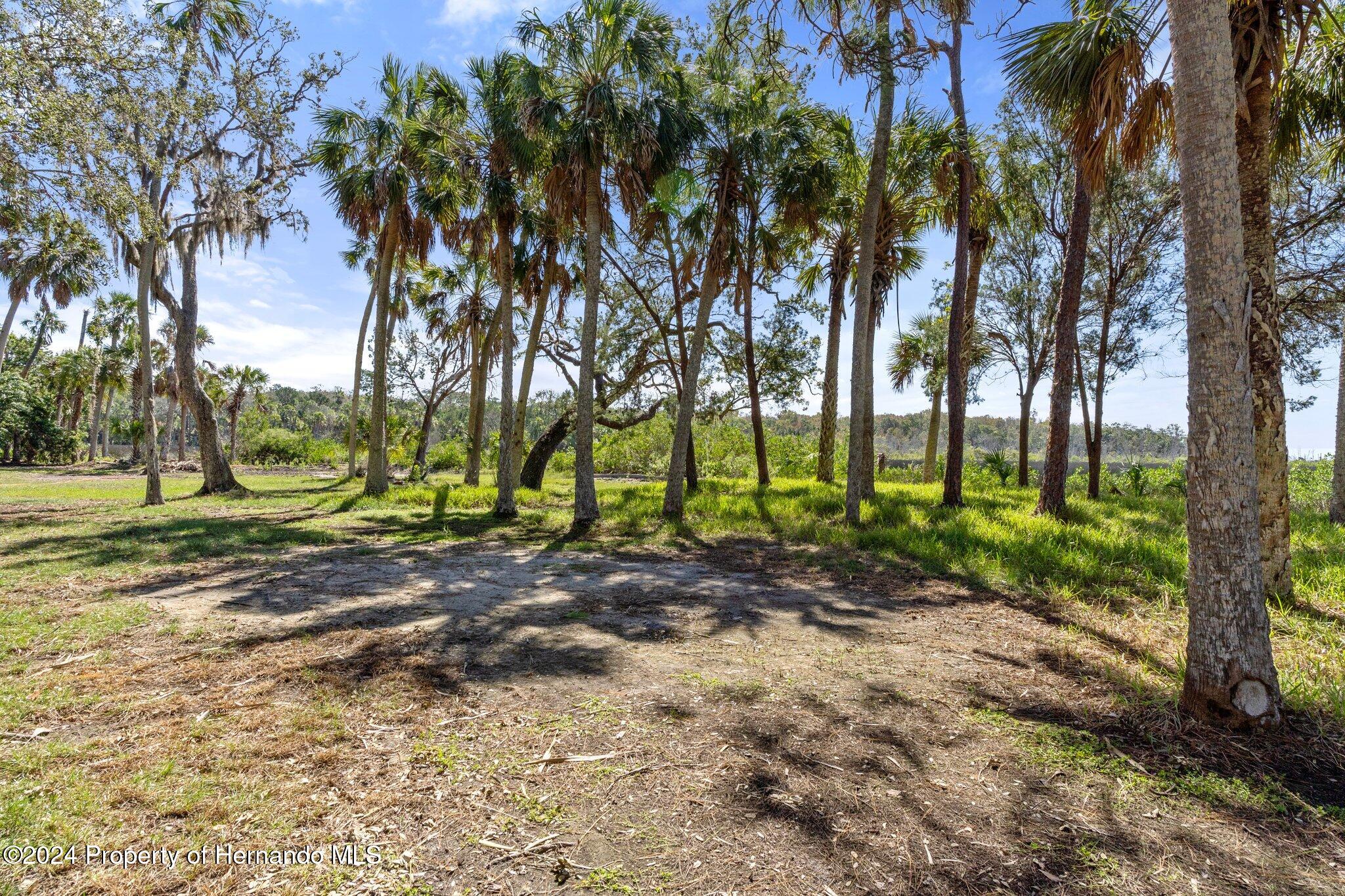 8122 Camp Lane, Aripeka, Florida image 7