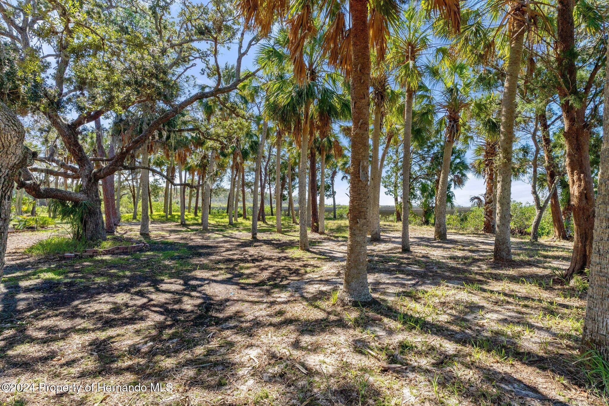 8122 Camp Lane, Aripeka, Florida image 9