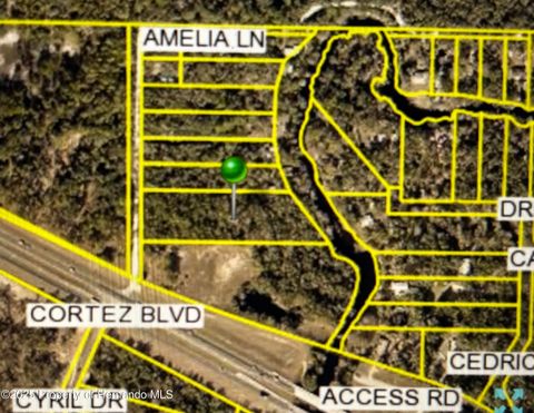 Vacant Land For Sale - Amelia Lane<br/> Dade City, FL 33523