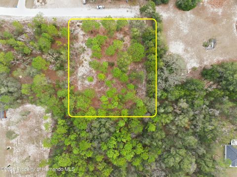 Vacant Land For Sale - Cormorant Road<br/> Weeki Wachee, FL 34614