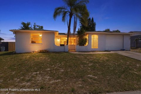 Homes For Sale - 9720 Rainbow Lane<br/> Pasco County, Port Richey, FL 34668