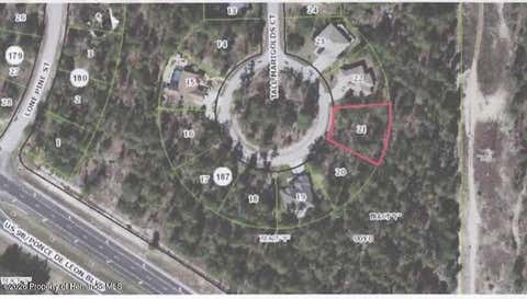 Vacant Land For Sale - 34 Tall Marigolds Court<br/> Homosassa, FL 34446