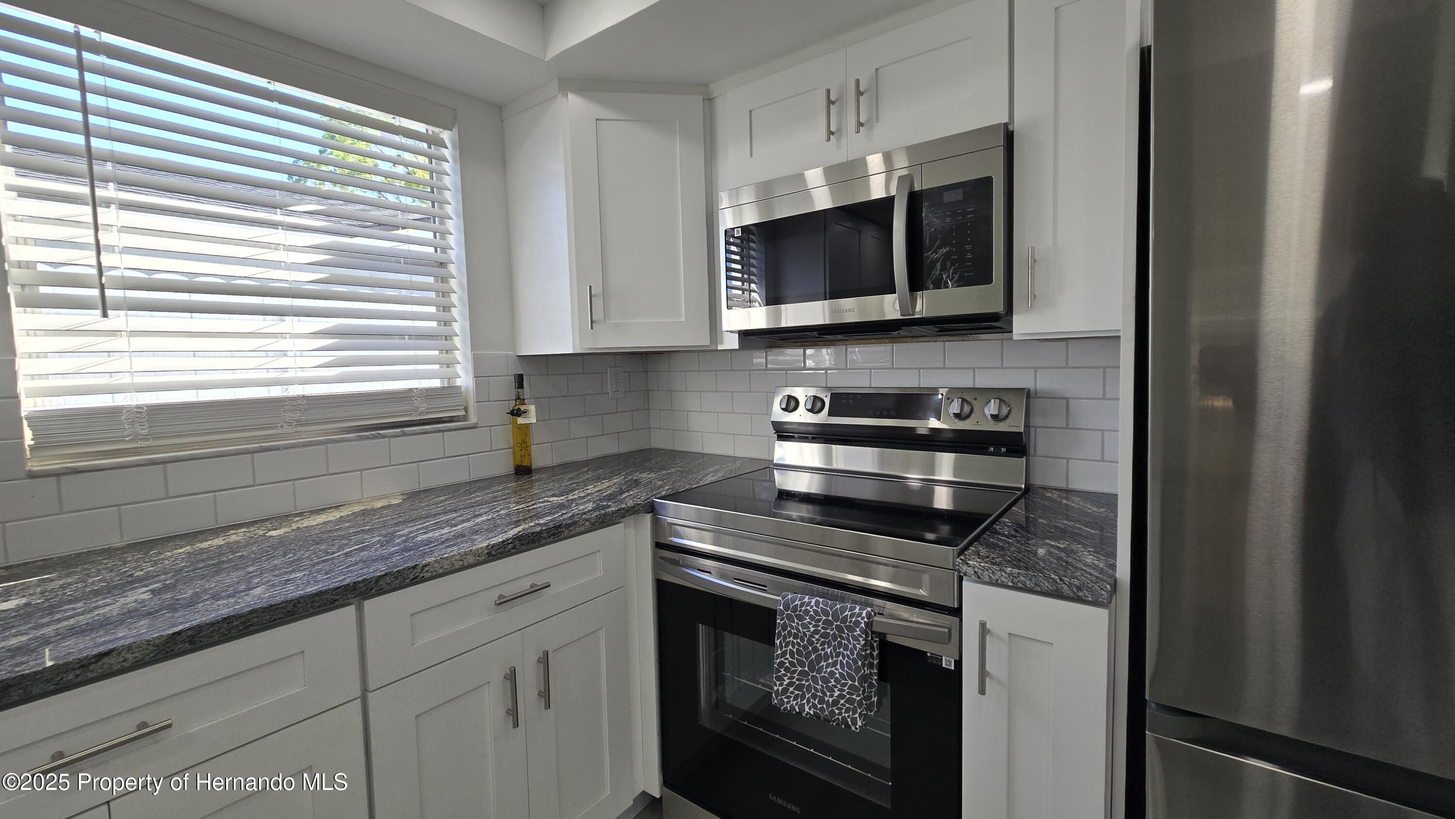 8640 Spanish Moss Drive, Port Richey, Florida image 12