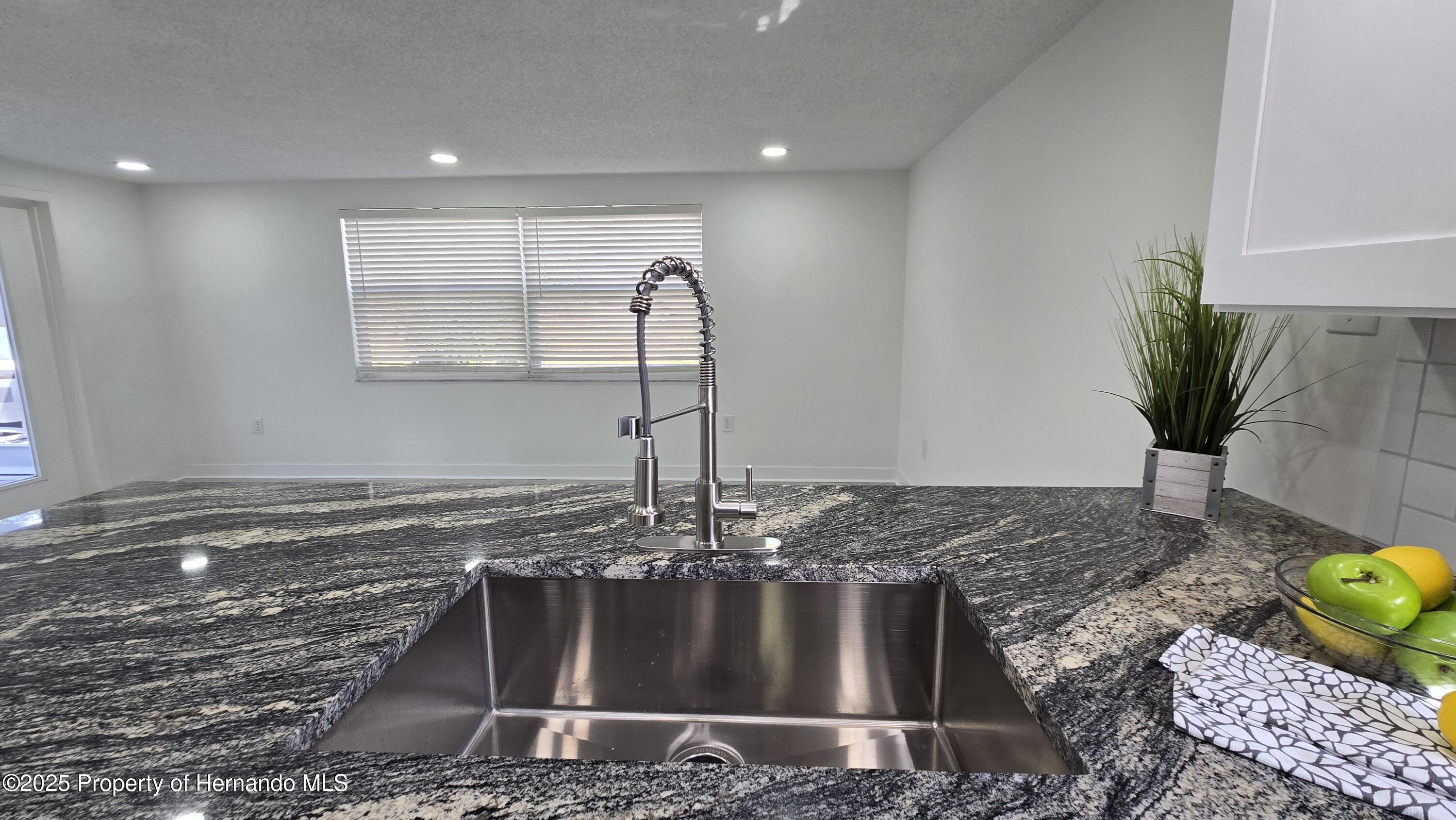8640 Spanish Moss Drive, Port Richey, Florida image 10