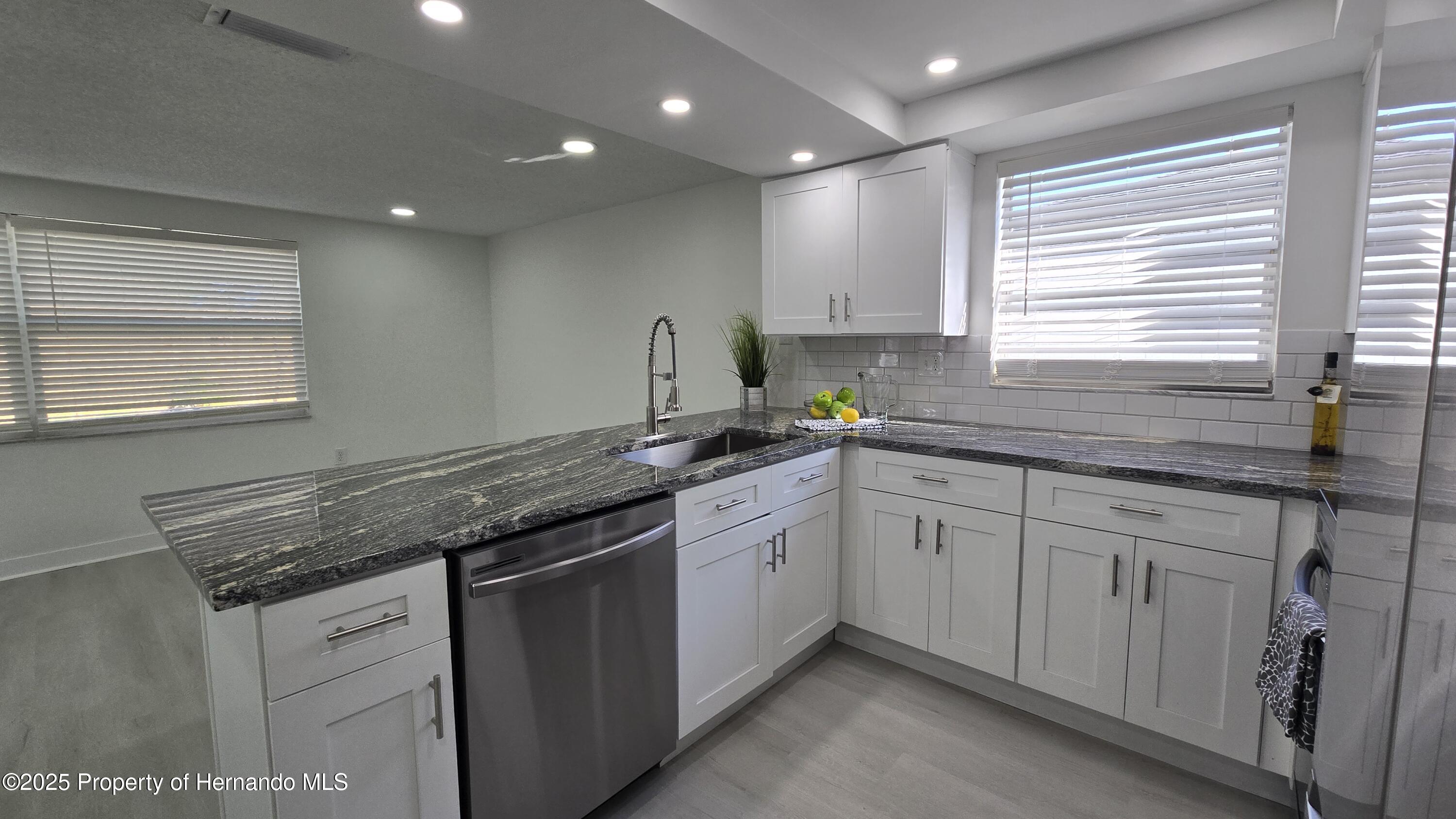 8640 Spanish Moss Drive, Port Richey, Florida image 13