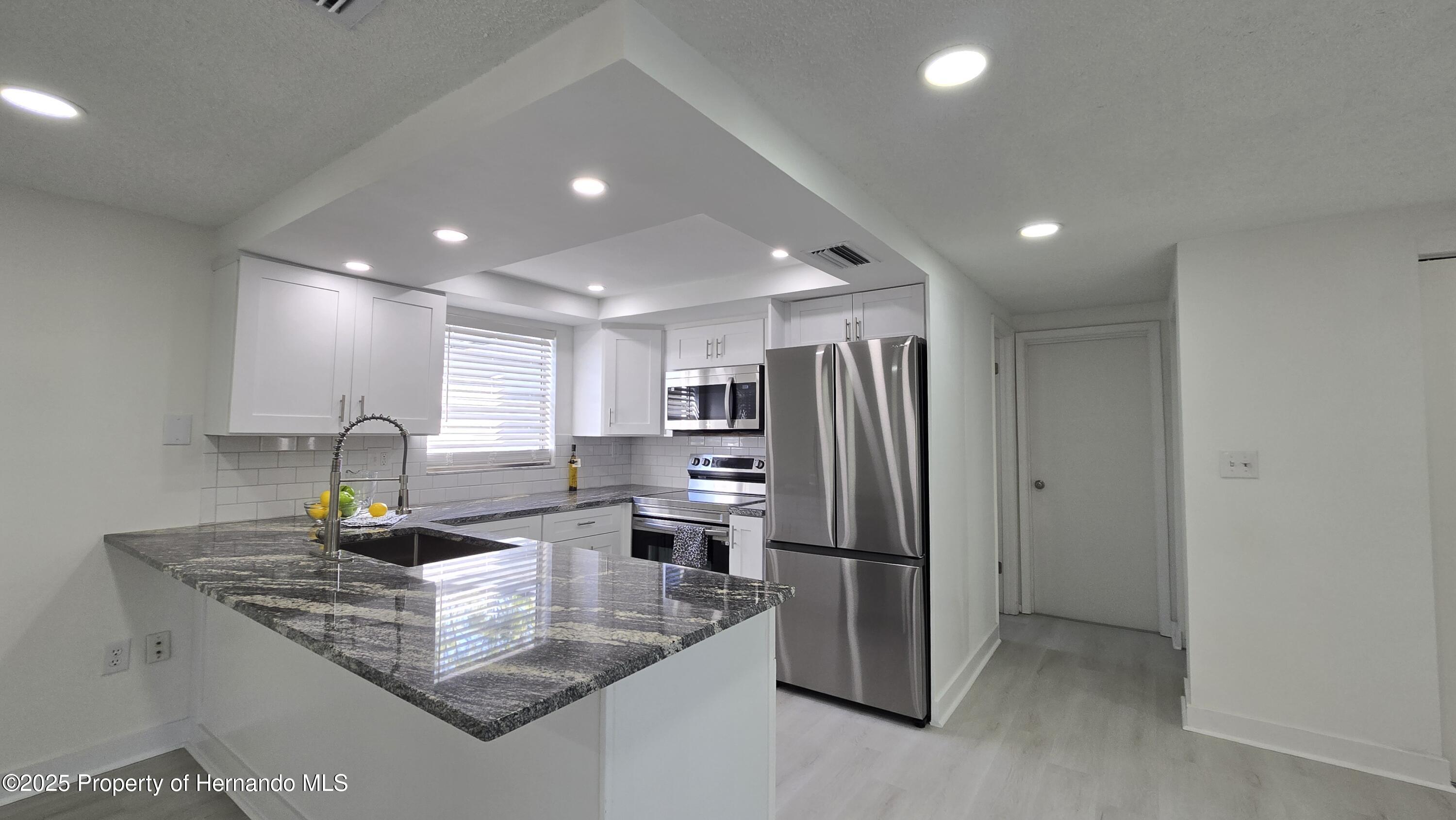 8640 Spanish Moss Drive, Port Richey, Florida image 6