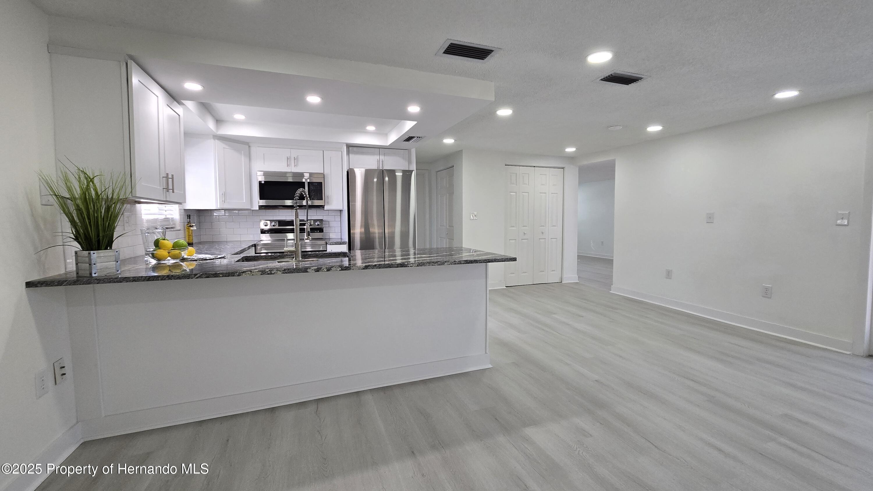 8640 Spanish Moss Drive, Port Richey, Florida image 7