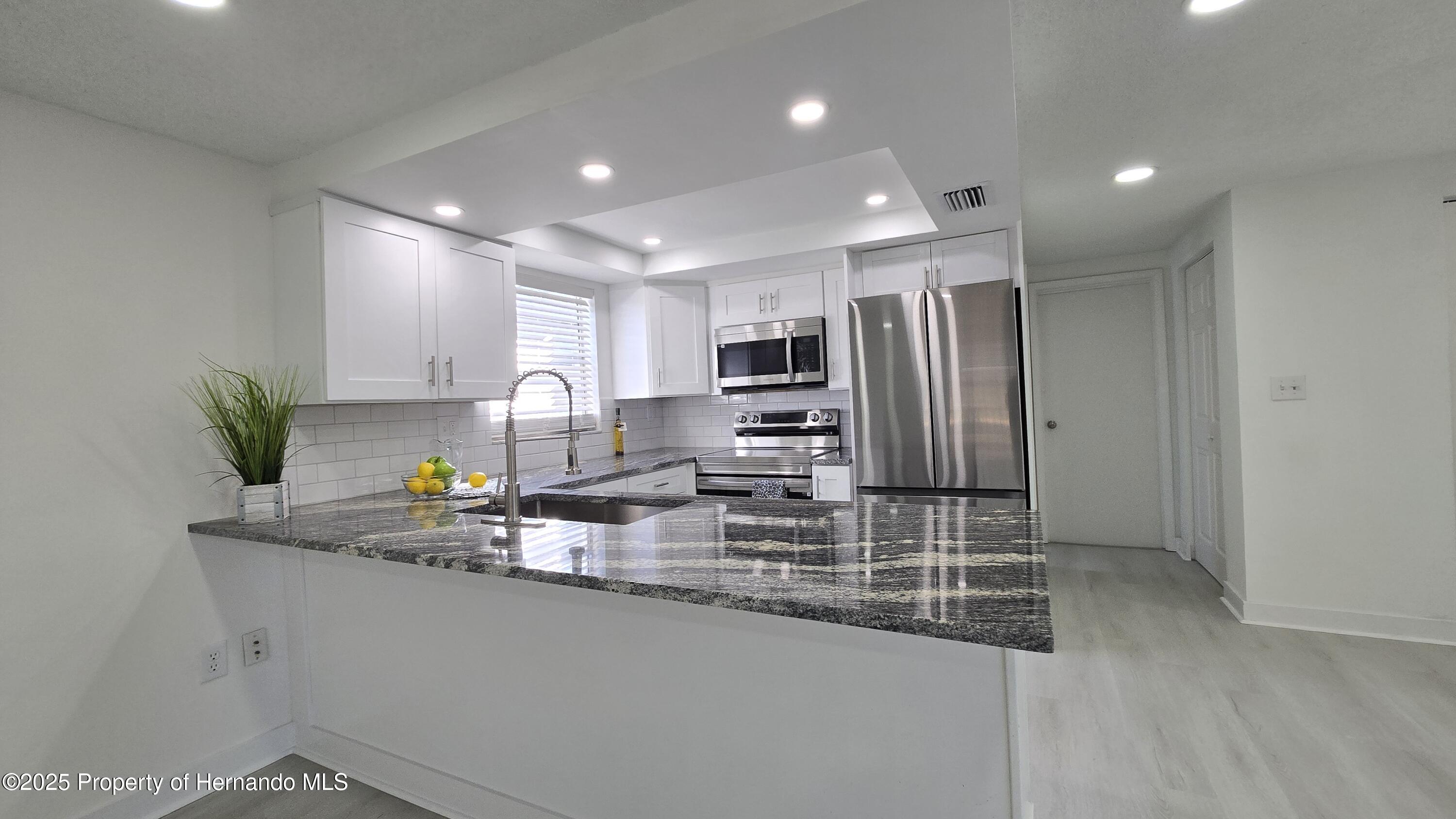 8640 Spanish Moss Drive, Port Richey, Florida image 5