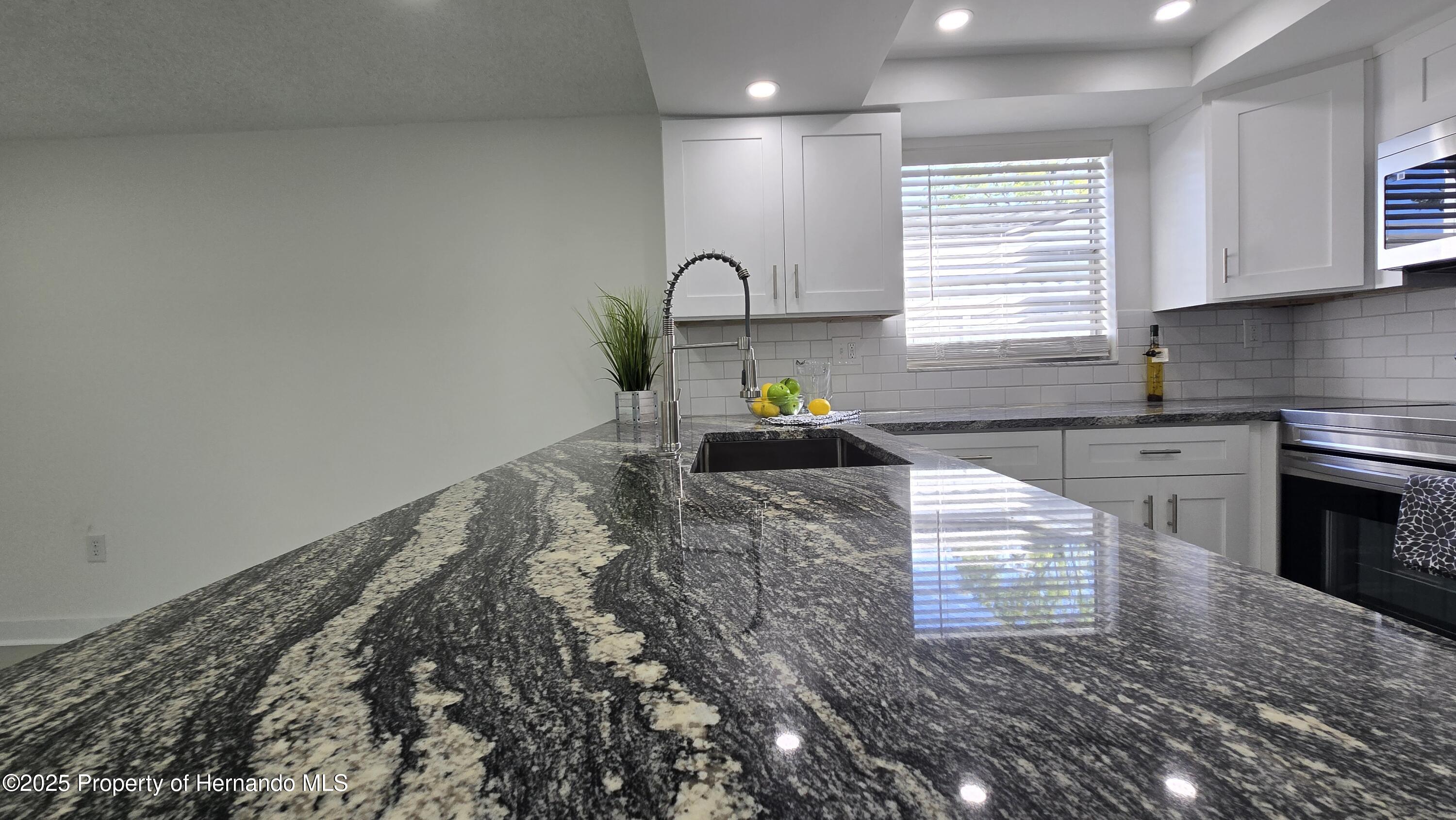 8640 Spanish Moss Drive, Port Richey, Florida image 14