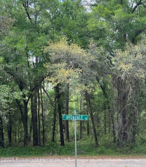 Vacant Land For Sale - 433 E Avondale Drive<br/> Dunnellon, FL 34434