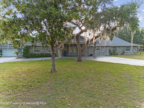 Homes For Sale - 7351 Castleberry Drive<br/> Webster, FL 33597