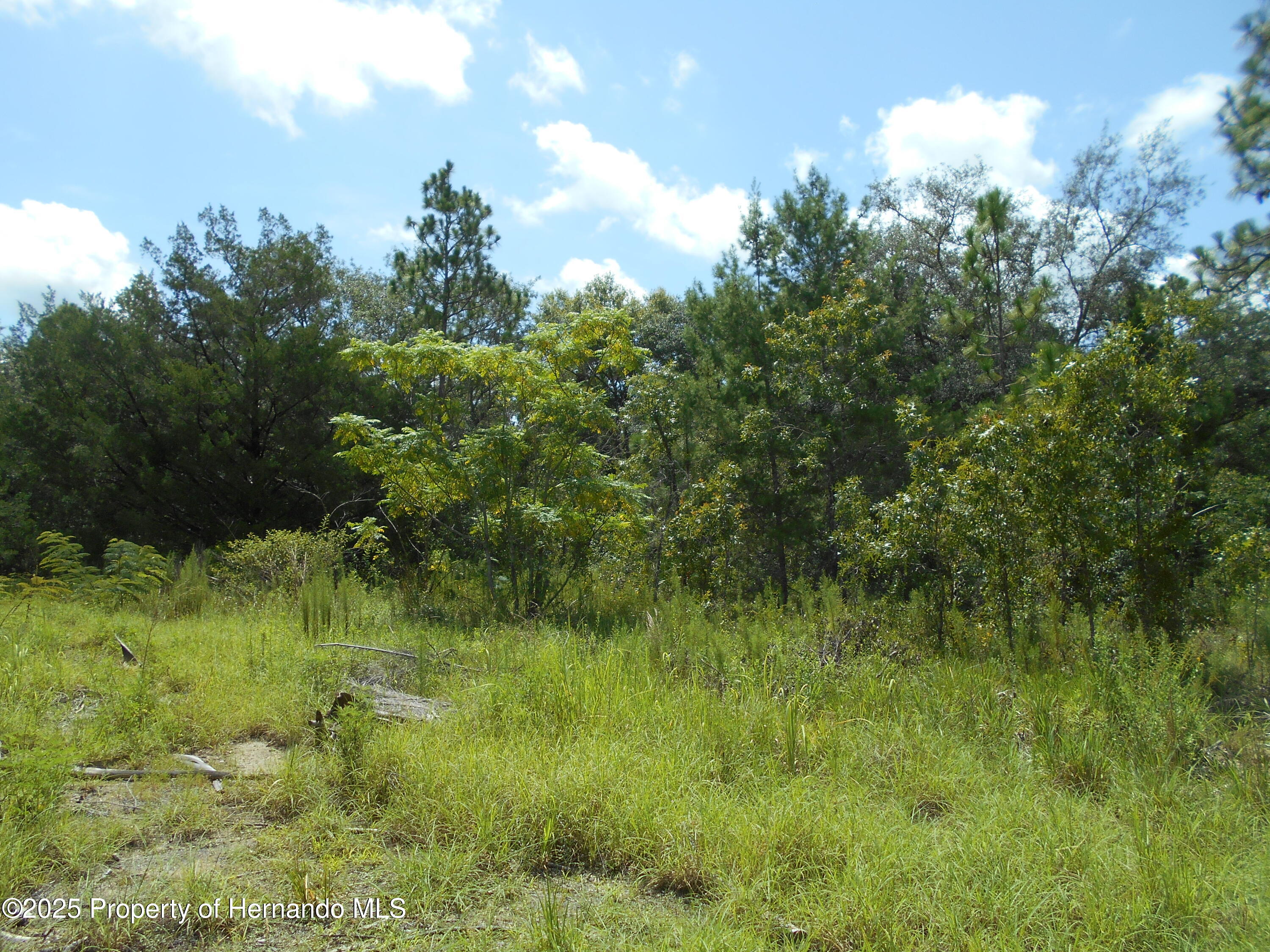 Lot 7 Rock Duck Avenue, Weeki Wachee, Florida image 1