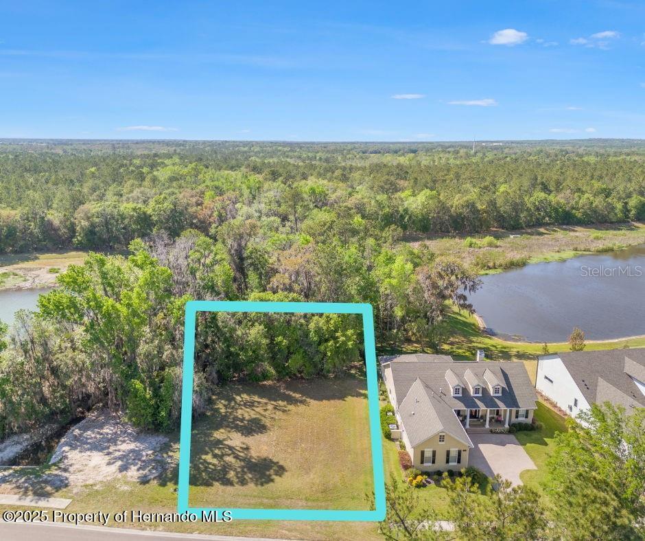 5545 Summit View Drive, Brooksville, Florida image 1