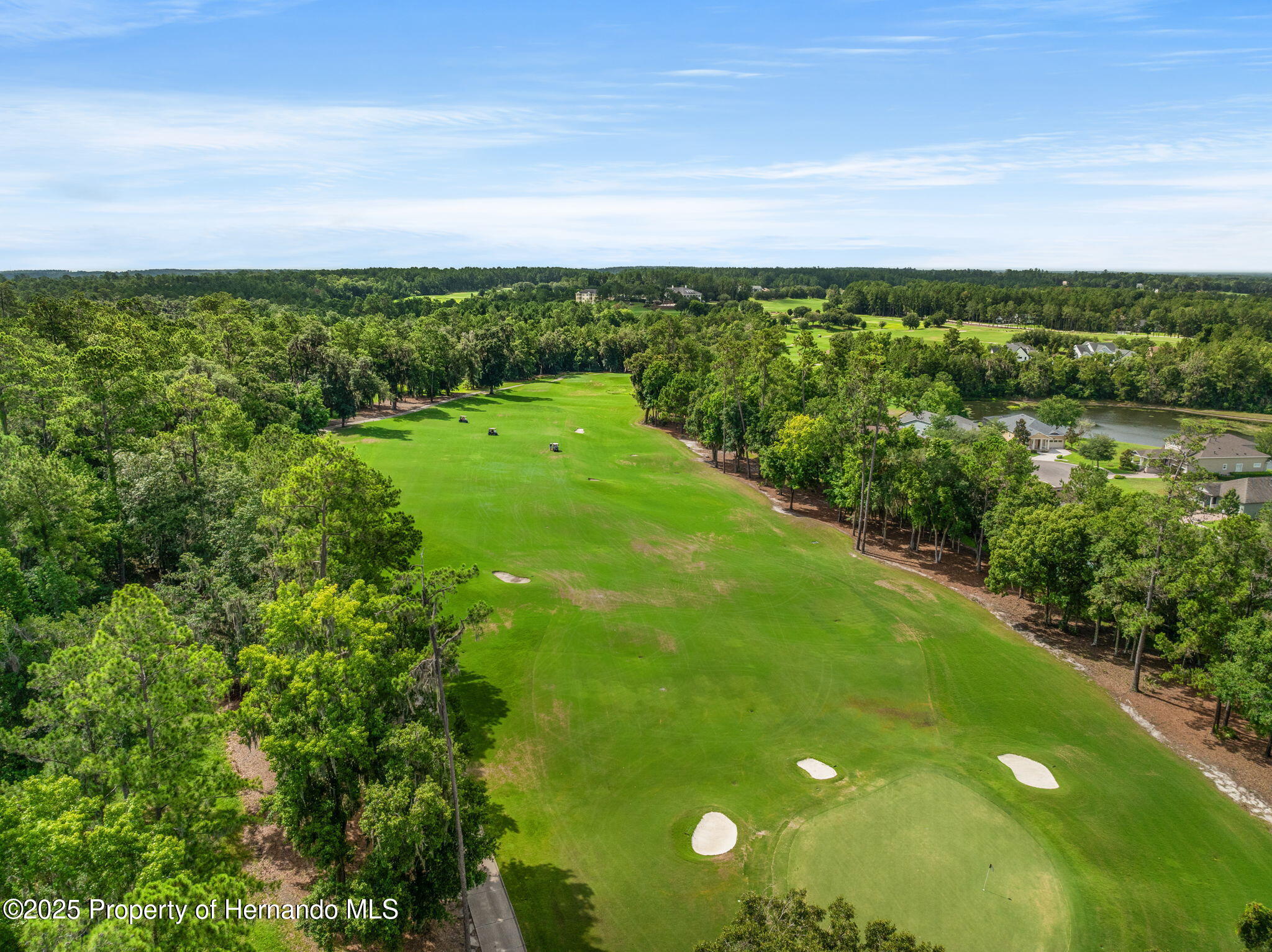5545 Summit View Drive, Brooksville, Florida image 15