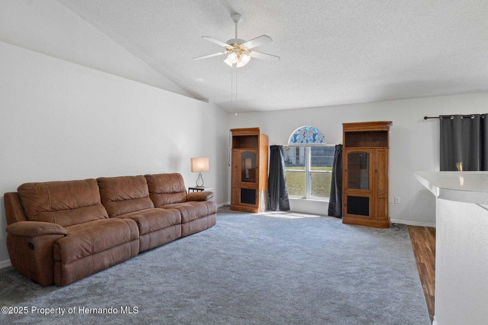 10482 Gatling Street, Spring Hill, Florida image 10