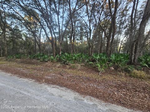 Vacant Land For Sale - Rosehill Drive<br/> Webster, FL 33597