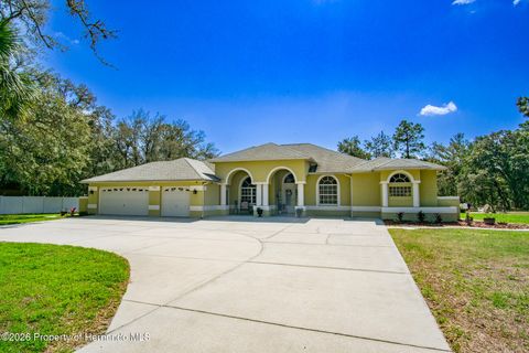 Homes For Sale - 11092 Mirage Avenue<br/> Spring Hill, FL 34613
