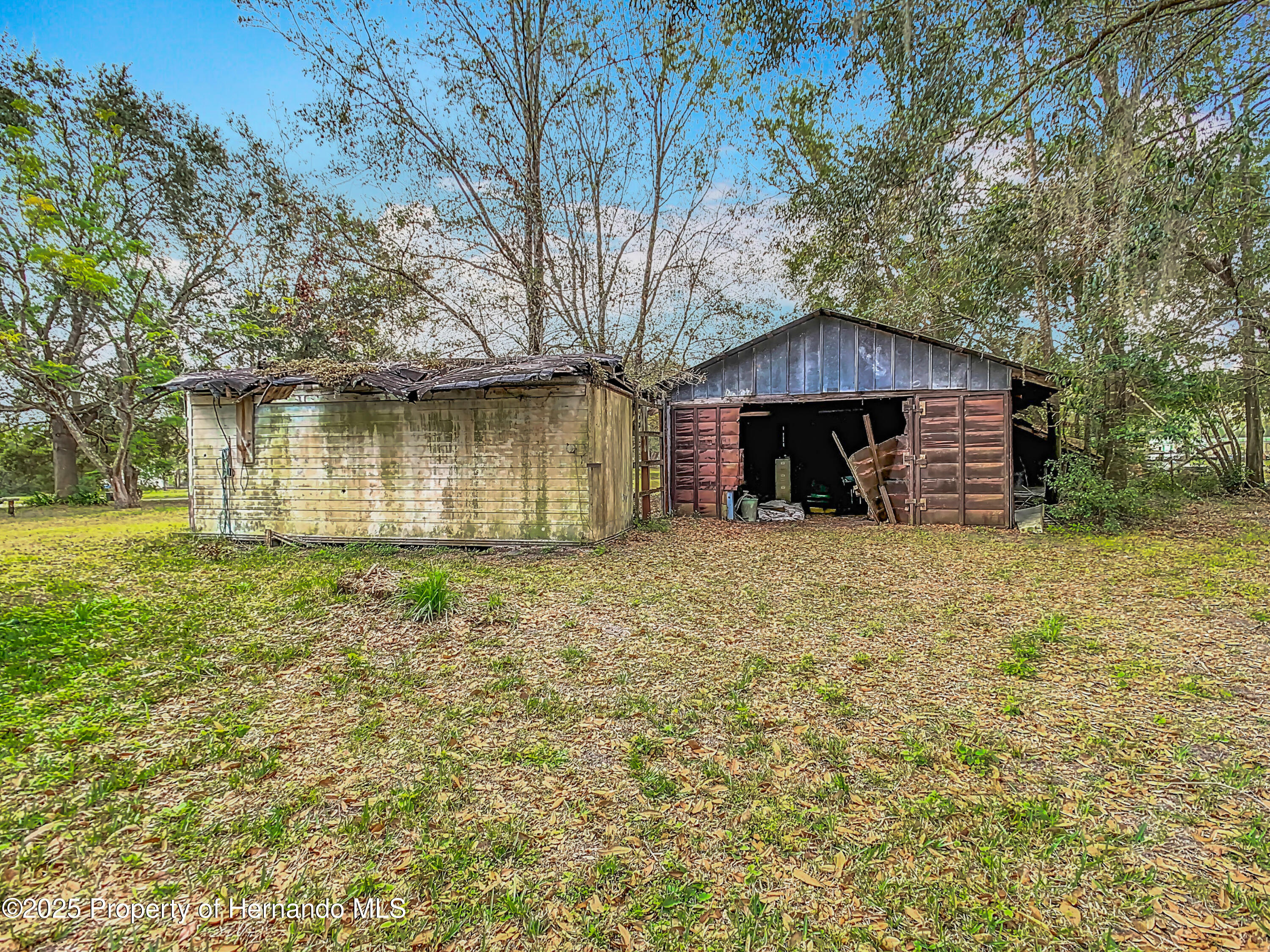 12857 Jan Street, San Antonio, Florida image 3