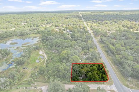 Vacant Land For Sale - 6669 W Cardinal Street<br/> Homosassa, FL 34446