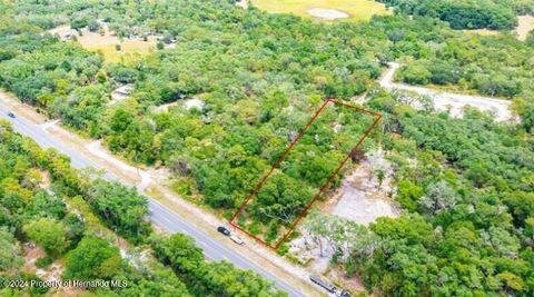 Vacant Land For Sale - 7466 Treiman Boulevard<br/> Webster, FL 33597