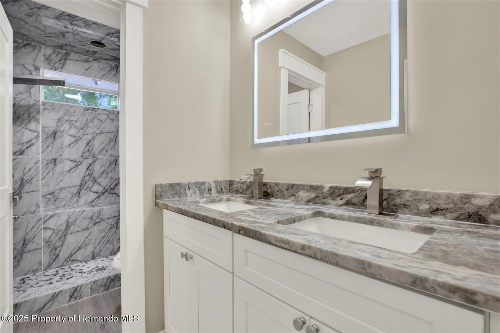10423 Ashley Oaks Drive, Riverview, Florida image 33